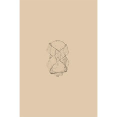 Artigiana Fiorentina Bigiotteria- Orecchini Metallo
