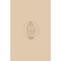 Artigiana Fiorentina Bigiotteria- Orecchini Metallo
