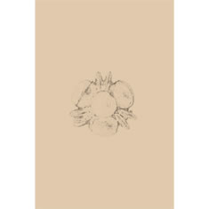 Artigiana Fiorentina Bigiotteria- Orecchini Metallo