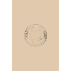 Artigiana Fiorentina Bigiotteria- Orecchini Metallo