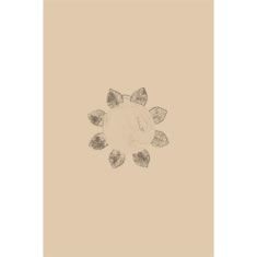 Artigiana Fiorentina Bigiotteria- Orecchini Metallo
