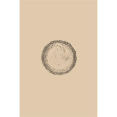 Artigiana Fiorentina Bigiotteria- Orecchini Metallo