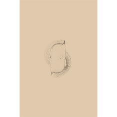 Artigiana Fiorentina Bigiotteria- Orecchini Metallo