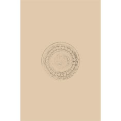 Artigiana Fiorentina Bigiotteria- Orecchini Metallo