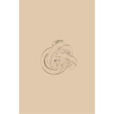 Artigiana Fiorentina Bigiotteria- Orecchini Metallo