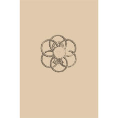 Artigiana Fiorentina Bigiotteria- Orecchini e Anelli Floreali e Geometrici