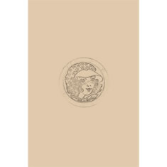 Artigiana Fiorentina Bigiotteria- Orecchini  e spille in ceramica e smalti