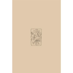 Artigiana Fiorentina Bigiotteria- Orecchini  e spille in ceramica e smalti