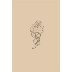 Artigiana Fiorentina Bigiotteria- Orecchini  e spille in ceramica e smalti