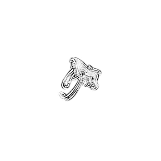 Artigiana Fiorentina Bigiotteria- anello ottone nichelato