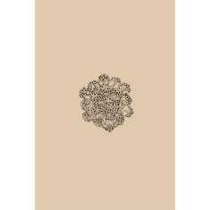Artigiana Fiorentina Bigiotteria - Orecchino ottone dorato