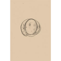 Artigiana Fiorentina Bigiotteria - Orecchino ottone dorato