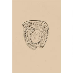 Artigiana Fiorentina Bigiotteria - Orecchino ottone dorato