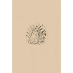 Artigiana Fiorentina Bigiotteria - Orecchino ottone dorato