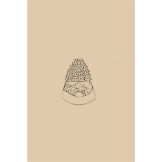 Artigiana Fiorentina Bigiotteria - Orecchino ottone dorato