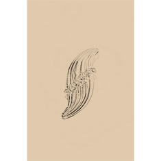 Artigiana Fiorentina Bigiotteria - Orecchino ottone dorato