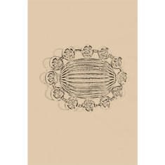 Artigiana Fiorentina Bigiotteria - Orecchino ottone dorato