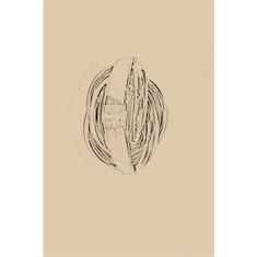 Artigiana Fiorentina Bigiotteria - Orecchino ottone dorato