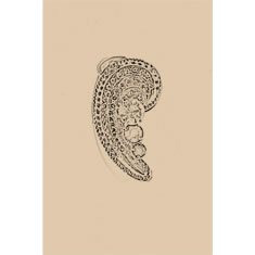 Artigiana Fiorentina Bigiotteria - Orecchino ottone dorato