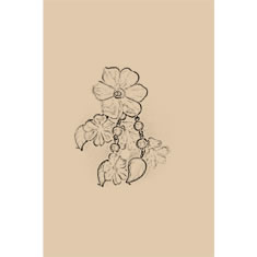Artigiana Fiorentina Bigiotteria - Orecchino plastica
