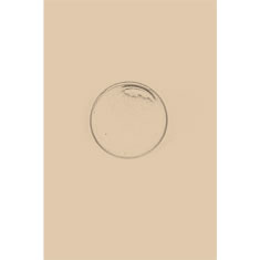 Artigiana Fiorentina Bigiotteria - Orecchino plastica