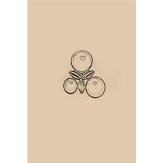 Artigiana Fiorentina Bigiotteria - Orecchino ottone dorato