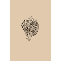 Artigiana Fiorentina Bigiotteria - Orecchino ottone