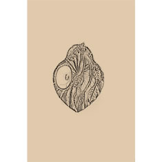 Artigiana Fiorentina Bigiotteria - Orecchino ottone