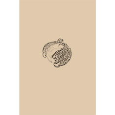 Artigiana Fiorentina Bigiotteria - Orecchino ottone dorato