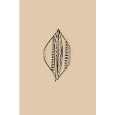 Artigiana Fiorentina Bigiotteria - Orecchino ottone