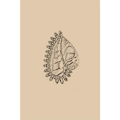 Artigiana Fiorentina Bigiotteria - Spilla ottone