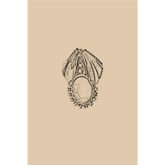 Artigiana Fiorentina Bigiotteria - Orecchino ottone dorato