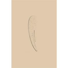 Artigiana Fiorentina Bigiotteria - Orecchino ottone