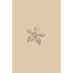 Artigiana Fiorentina Bigiotteria - Orecchino ottone