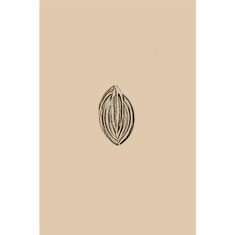 Artigiana Fiorentina Bigiotteria - Orecchino ottone dorato