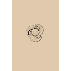 Artigiana Fiorentina Bigiotteria - Orecchino ottone dorato