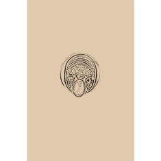Artigiana Fiorentina Bigiotteria - Orecchino ottone dorato
