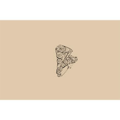 Artigiana Fiorentina Bigiotteria - Orecchino ottone dorato