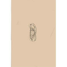 Artigiana Fiorentina Bigiotteria - Orecchino ottone dorato