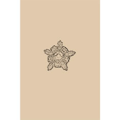 Artigiana Fiorentina Bigiotteria - Orecchino ottone dorato