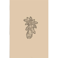 Artigiana Fiorentina Bigiotteria - Orecchino ottone dorato