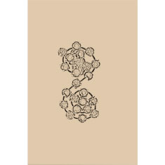 Artigiana Fiorentina Bigiotteria - Orecchino ottone dorato