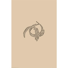 Artigiana Fiorentina Bigiotteria - Spilla ottone dorato