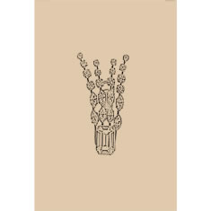 Artigiana Fiorentina Bigiotteria - Orecchino ottone dorato