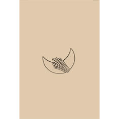 Artigiana Fiorentina Bigiotteria - Orecchino ottone dorato