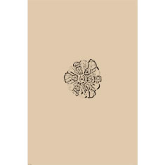 Artigiana Fiorentina Bigiotteria - Orecchino ottone dorato