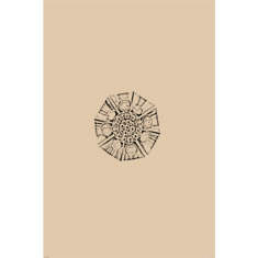 Artigiana Fiorentina Bigiotteria - Orecchino ottone dorato