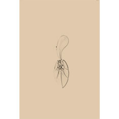 Artigiana Fiorentina Bigiotteria - Orecchino ottone dorato