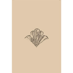 Artigiana Fiorentina Bigiotteria - Orecchino ottone