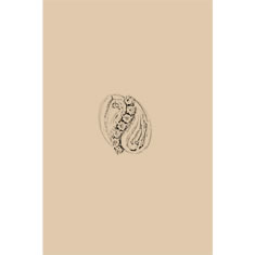 Artigiana Fiorentina Bigiotteria - Orecchino ottone dorato